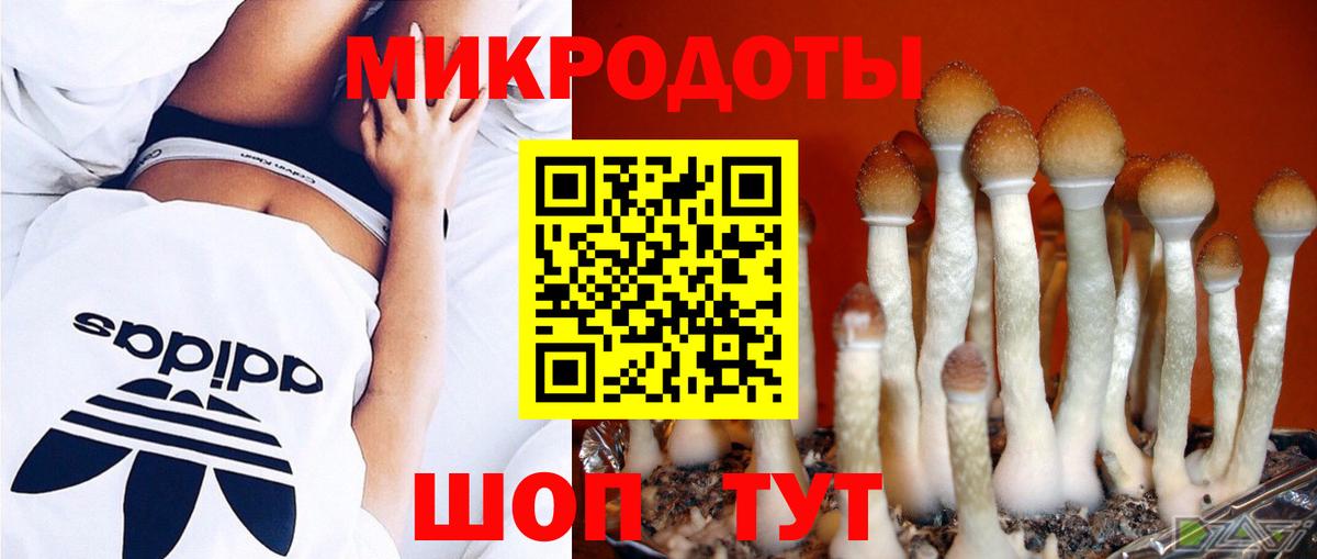 хочу наркоту  Псилоцибиновые грибы ЛСД  Вход с VPN  Орехово-Зуево 